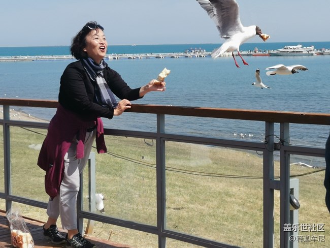 【寻秋】美女伴海鸥