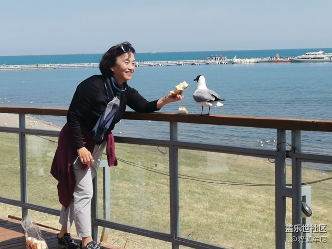 【寻秋】美女伴海鸥