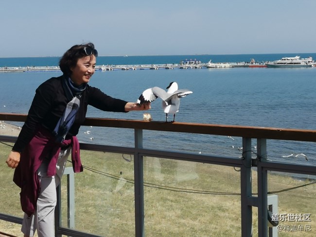 【寻秋】美女伴海鸥