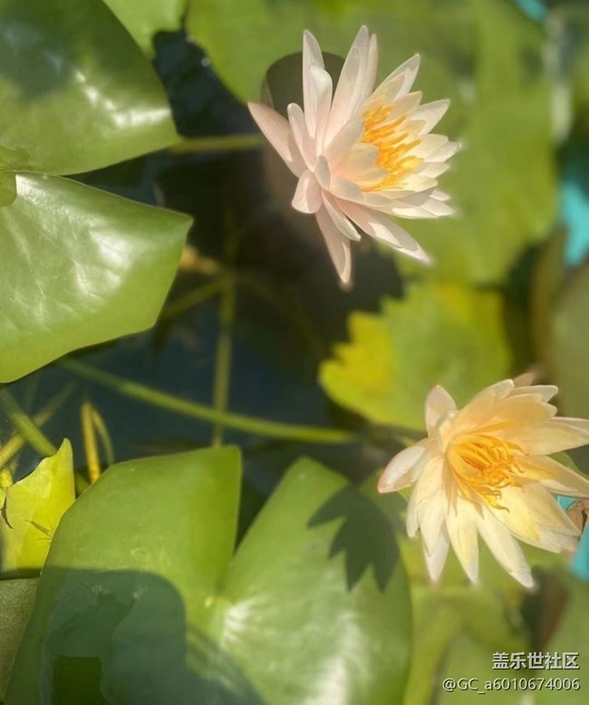 【夏日限定】风光秀丽
