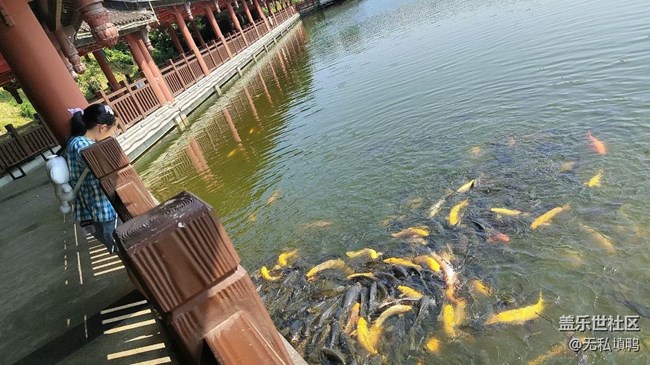 【时间影像】溜达