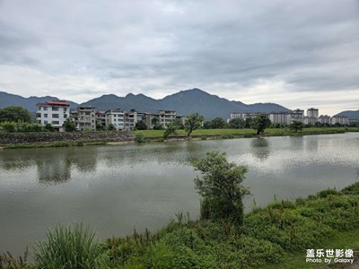 随手拍