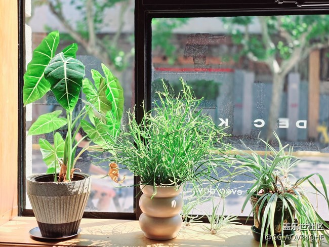 【AI啡来了】+送你20买咖啡