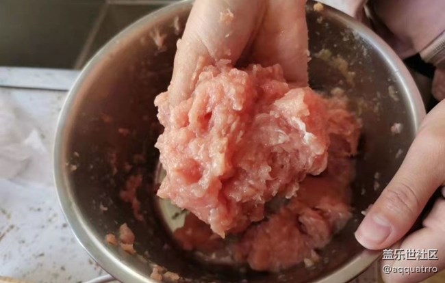【秋天食补计划】瘦肉丸