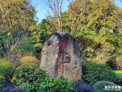 樱花园