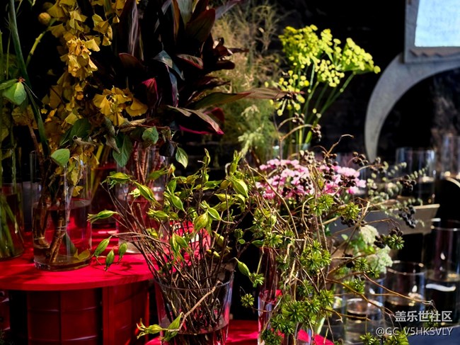 【AI咖来了】+Samsung 的AI 淡“班”大计