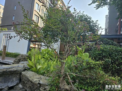 随手拍