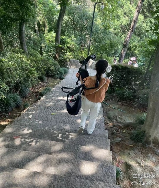 【时间影像】动物园