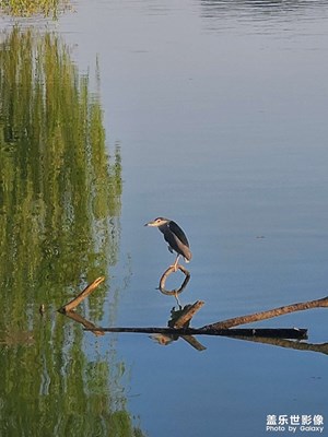 风景图