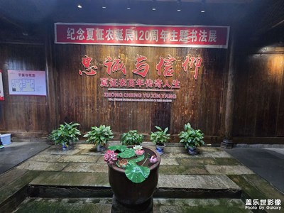 随手拍