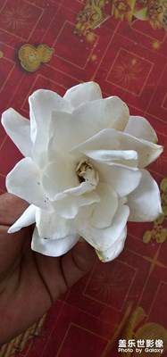 每日一图