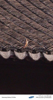 【随处精彩】盛夏里的光