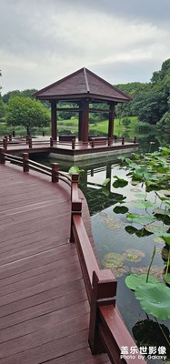 每日一图