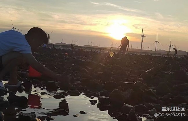 【夏日限定】赶海