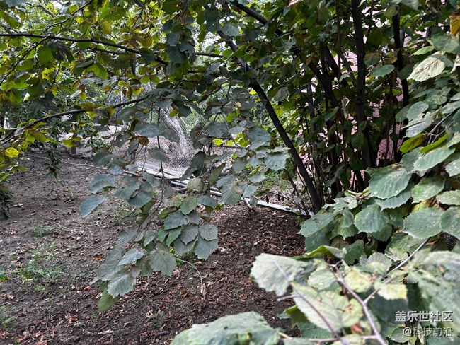 【寻秋】丰收的季节