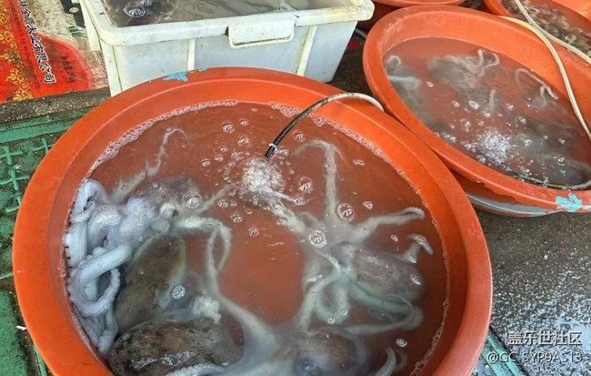 【时间影像】海货