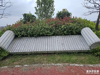 随手拍