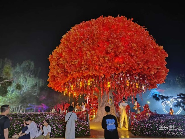 沈阳星部落方特夜景拍摄活动回顾
