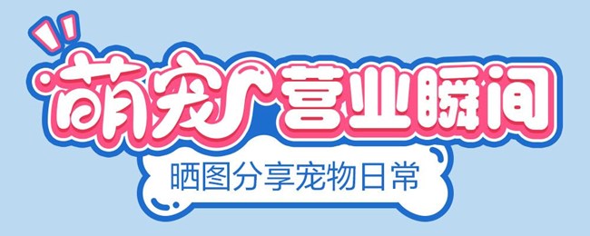 萌宠营业瞬间 晒图分享宠物日常
