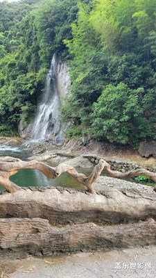 夏天的尾巴