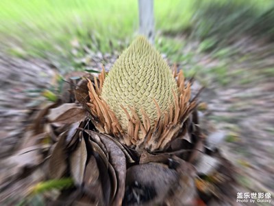 随手拍