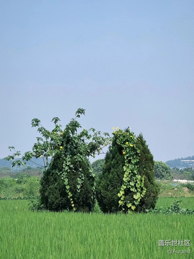 【夏日清凉·星享汇】湖北乡下