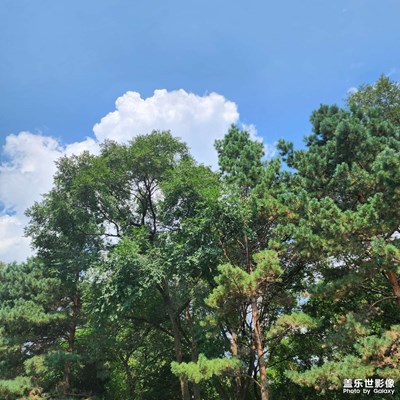 秋高气爽 秋天随拍