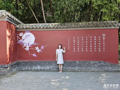 随手拍