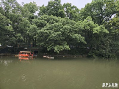 随手拍