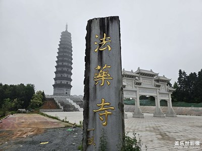 随手拍