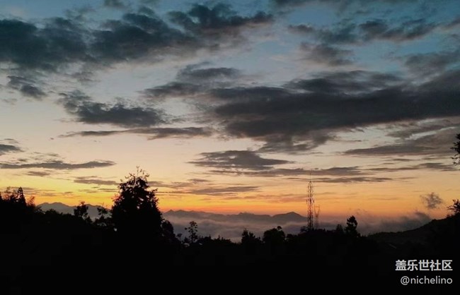 【金色秋天】朝阳