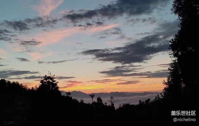 【金色秋天】朝阳