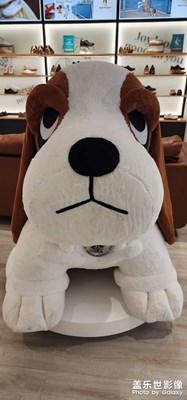 【生活的色调】+场景随拍