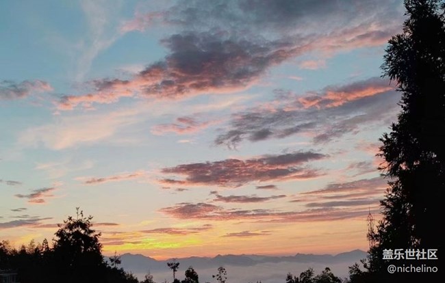 【金色秋天】朝阳