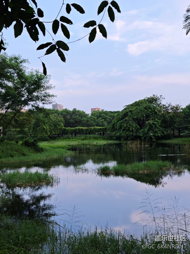 【中秋限定】林荫小道