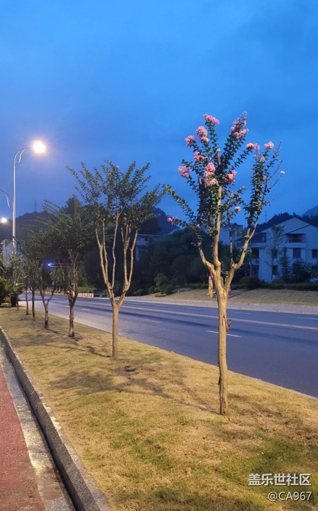 【金色秋天】秋景