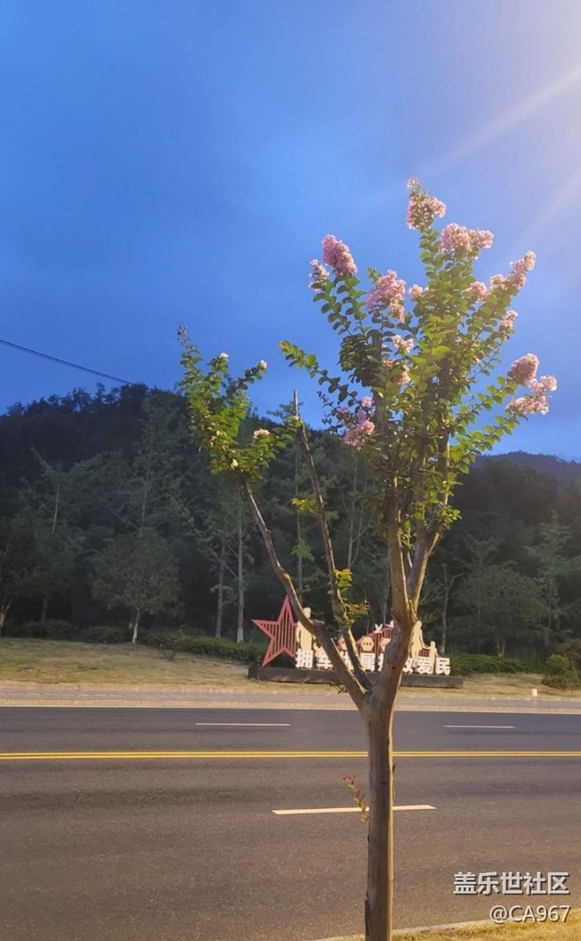 【金色秋天】秋景