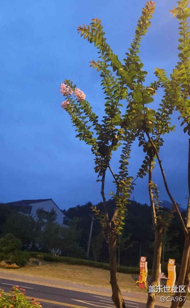 【金色秋天】秋景
