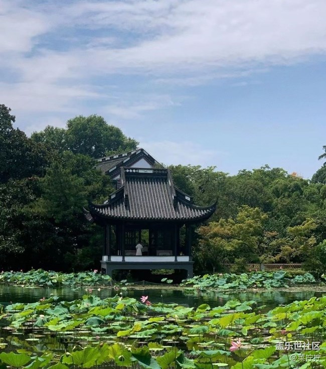 【金色秋天】初秋
