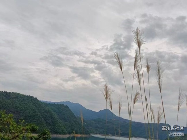 【金色秋天】水库