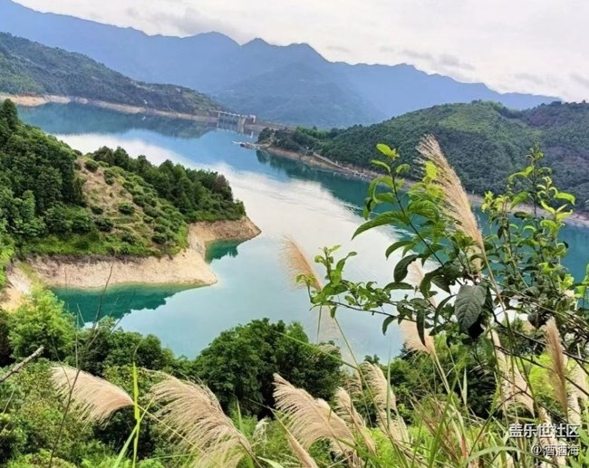 【金色秋天】水库