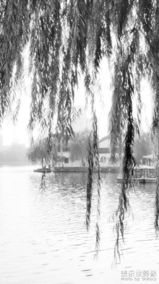 水墨莫愁