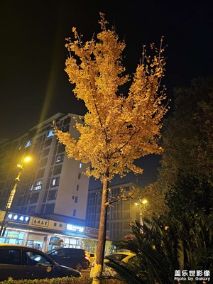 随手拍