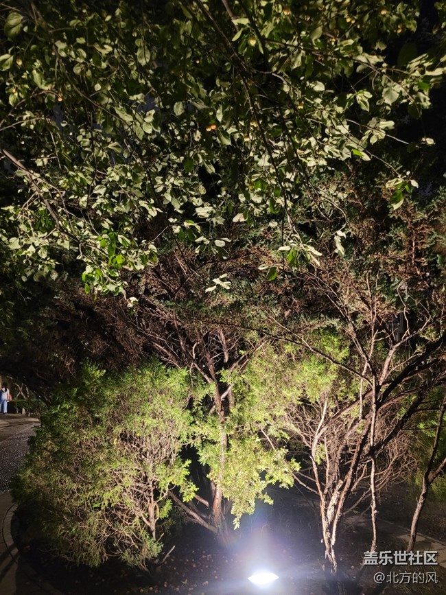 【北京city walk】---三星手机记录下的光影变幻