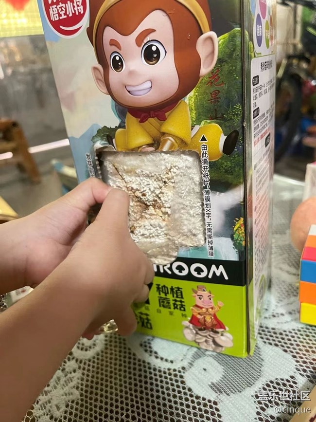 【中秋限定】种菇