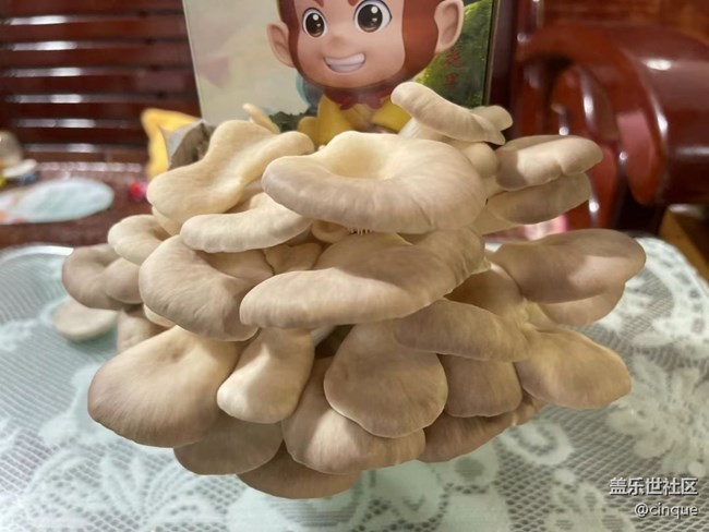 【中秋限定】种菇