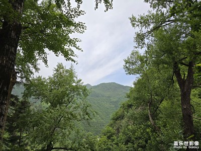 【生活的色调】+自然风景