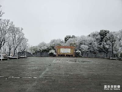 随手拍