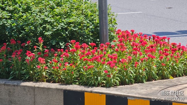 【夏色秋声】秋近了