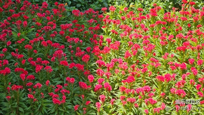 【夏色秋声】秋近了